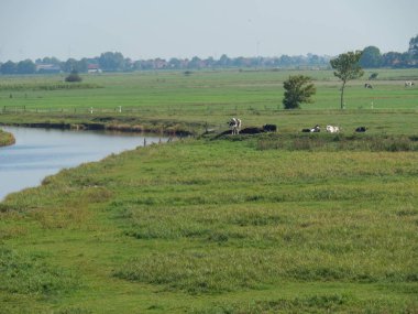 Almanya'da nehir ems de ditzum köyü