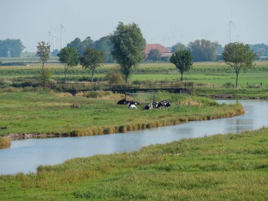 Almanya'da nehir ems de ditzum köyü