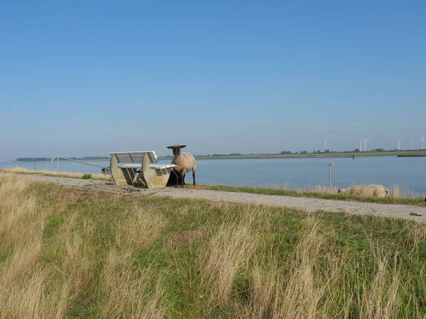 Almanya'da nehir ems de ditzum köyü