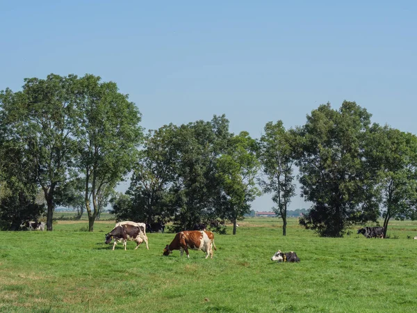 Het Dorp Ditzum Aan Rivier Ems Duitsland — Stockfoto