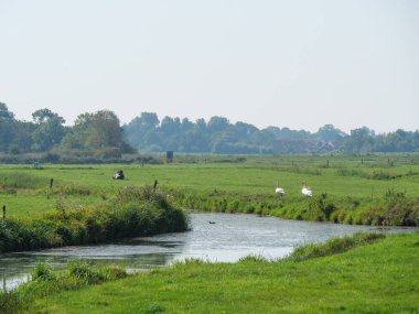 Almanya'da nehir ems de ditzum köyü