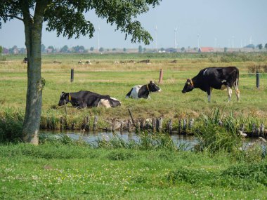 Almanya'da nehir ems de ditzum köyü