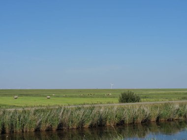 Almanya'da nehir ems de ditzum köyü