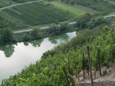 Almanya'da Bingen yakınlarındaki ren nehri