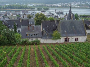 Almanya'da Bingen yakınlarındaki ren nehri