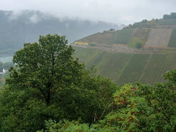 Rin Del Río Alemania Cerca Bingen — Foto de Stock