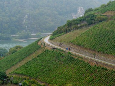 Almanya'da Bingen yakınlarındaki ren nehri