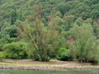 Almanya'da Bingen yakınlarındaki ren nehri