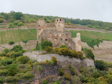 Almanya'da Bingen yakınlarındaki ren nehri