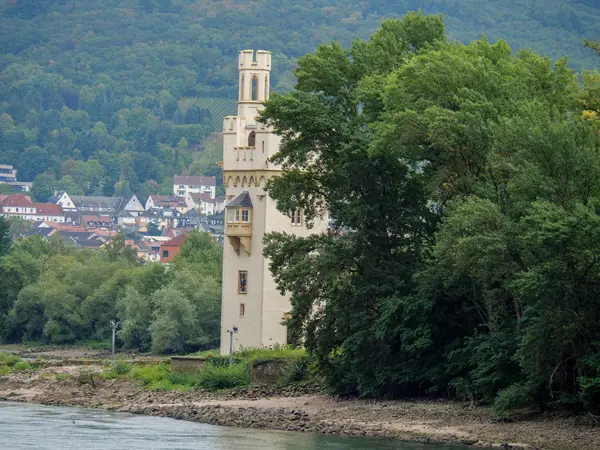 Rhin Allemagne Près Bingen — Photo