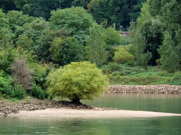 Rio Rhine Alemanha Perto Bingen — Fotografia de Stock