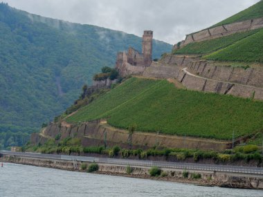 Almanya'da Bingen yakınlarındaki ren nehri
