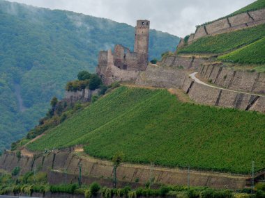 Almanya'da Bingen yakınlarındaki ren nehri