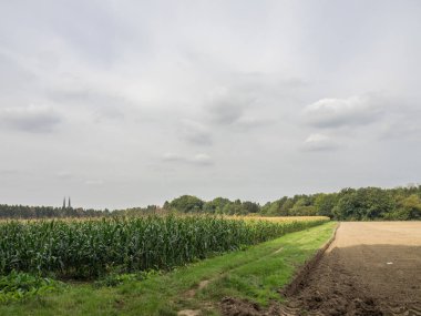 Billerbeck yakınlarındaki Alman baumberge'de yürüyüş
