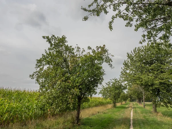 Wandern Den Baumbergen Bei Billerbeck — Stockfoto