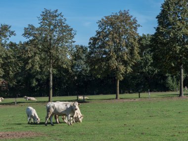 Alman Muensterland 'inde yaz sonu