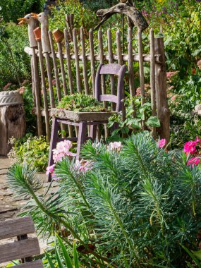 Alman Muensterland 'inde yaz sonu