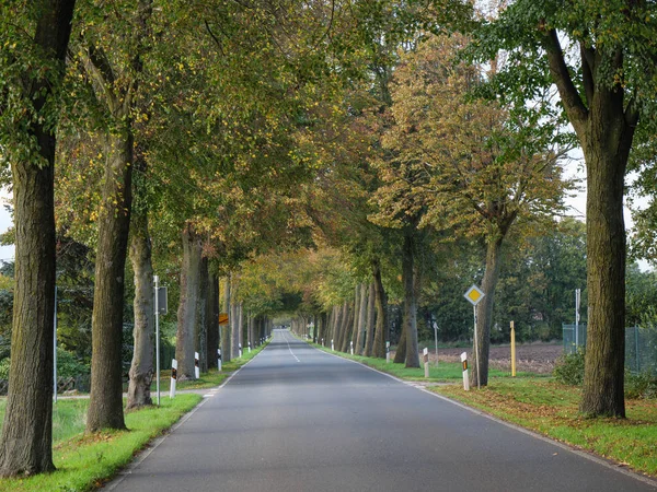 Autumn Time German Muensterland — Stock Photo, Image