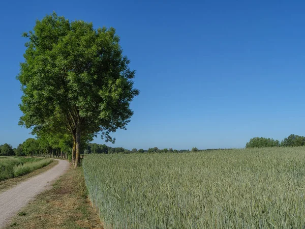 Tolle Bauten Und Wunderschöne Natur Westfalens — Stockfoto