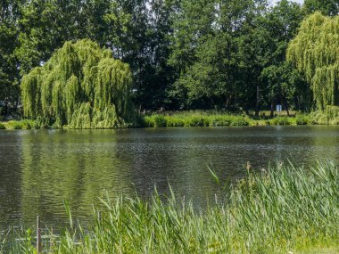 Büyük Buidlings ve Almanya 'da Westphalia' nın güzel doğası