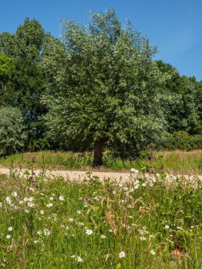 Büyük Buidlings ve Almanya 'da Westphalia' nın güzel doğası