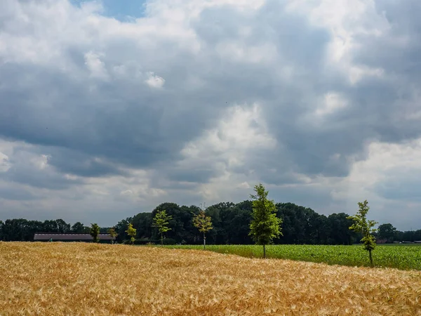 Sommerzeit Westfalen — Stockfoto