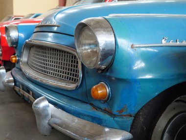 Almanya 'daki Baltık Denizi' ndeki Darss Adası.