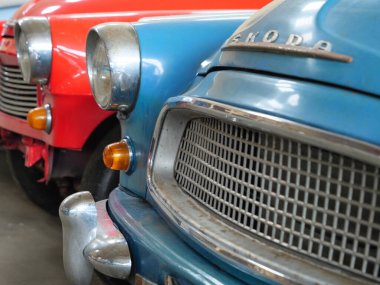 Almanya 'daki Baltık Denizi' ndeki Darss Adası.