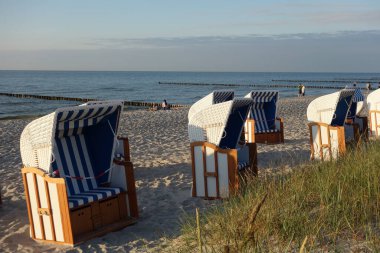 Almanya 'daki Baltık Denizi' ndeki Darss Adası.