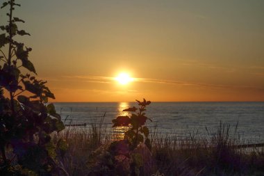 Almanya 'daki Baltık Denizi' ndeki Darss Adası.