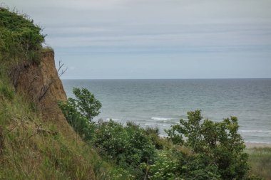 Almanya 'daki Baltık Denizi' ndeki Darss Adası.