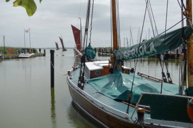 Almanya 'daki Baltık Denizi' ndeki Darss Adası.