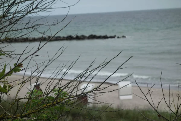 Die Darßinsel Der Ostsee Deutschland — Stockfoto