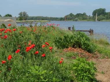 Luebeck 'te yaz zamanı ve Alman Baltık Denizi' nde seyahat.