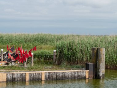 Almanya 'daki Baltık Denizi' ndeki Darss Adası.