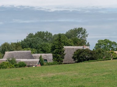 Almanya 'daki Baltık Denizi' ndeki Darss Adası.