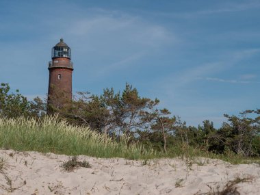 Almanya 'daki Baltık Denizi' ndeki Darss Adası.