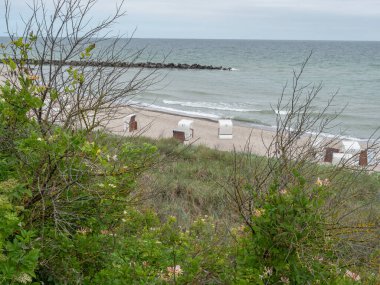 Almanya 'daki Baltık Denizi' ndeki Darss Adası.