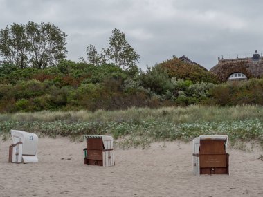 Almanya 'daki Baltık Denizi' ndeki Darss Adası.