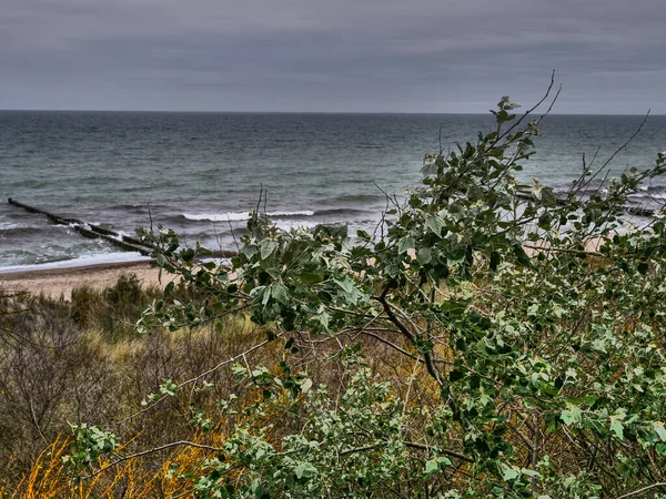 Ahrenshoop Vid Baltiska Havet Tyskland — Stockfoto