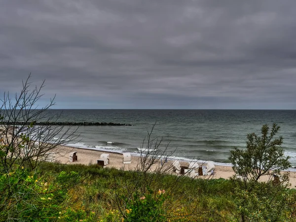 Die Darßinsel Der Ostsee Deutschland — Stockfoto