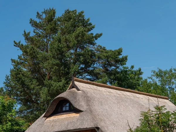 Die Darßinsel Der Ostsee Deutschland — Stockfoto