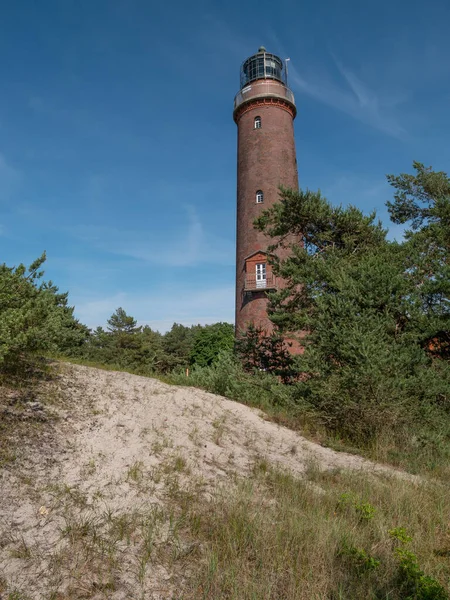 Die Darßinsel Der Ostsee Deutschland — Stockfoto