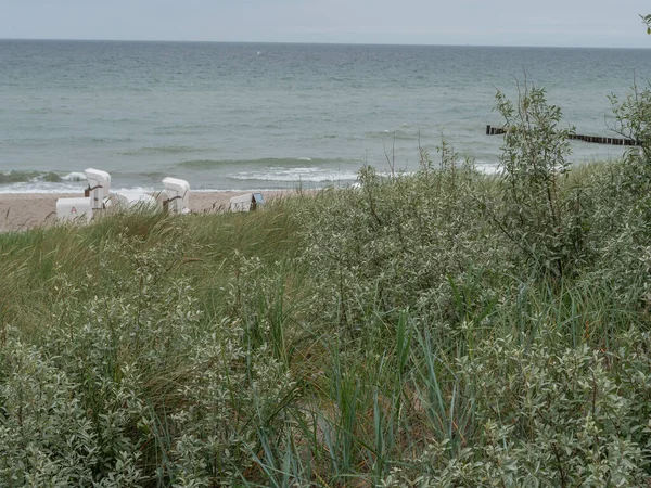 Die Darßinsel Der Ostsee Deutschland — Stockfoto