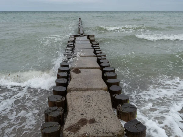 Ilha Darss Mar Báltico Alemanha — Fotografia de Stock