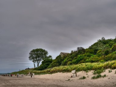 Almanya 'daki Baltık Denizi' ndeki Darss Adası.