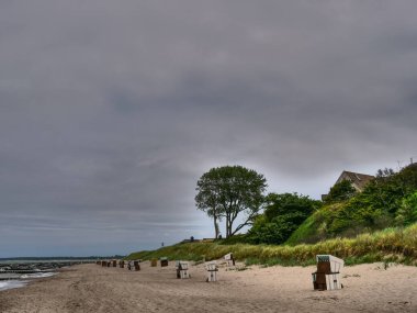Almanya 'daki Baltık Denizi' ndeki Darss Adası.