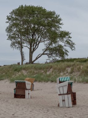 Almanya 'daki Baltık Denizi' ndeki Darss Adası.