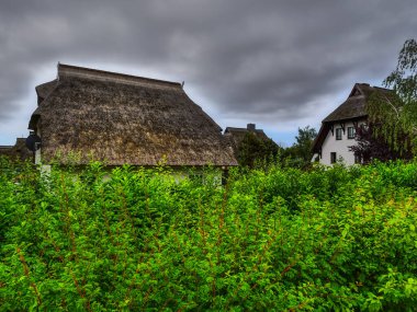 Almanya 'daki Baltık Denizi' ndeki Darss Adası.