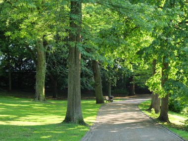 Kuzey Denizi 'ndeki Alman şehri Bremen